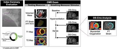 Combined Analysis of Myocardial Deformation and Oxygenation Detects Inducible Ischemia Unmasked by Breathing Maneuvers in Chronic Coronary Syndrome